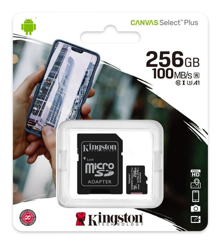 MICRO SD KINGSTON 256GB